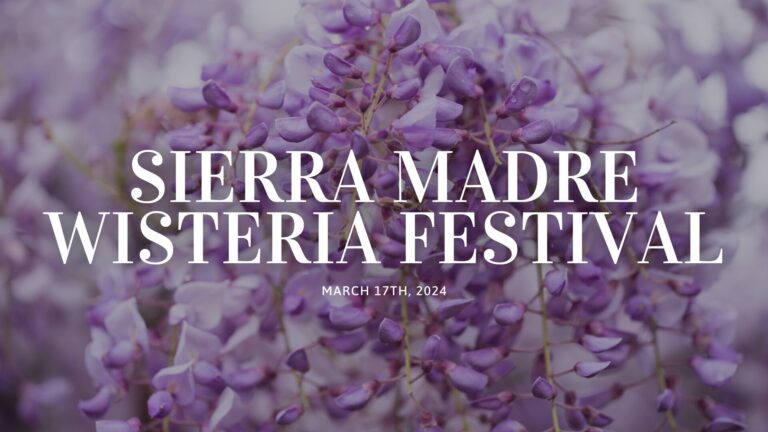 You are currently viewing THE ENCHANTING SIERRA MADRE WISTERIA FESTIVAL